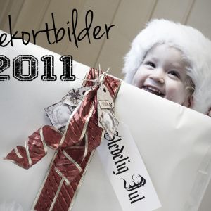 Julekortfotografering – Nissebilder 2011 ♥