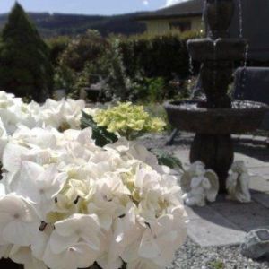 Bryllup, blomster og roser i hagen