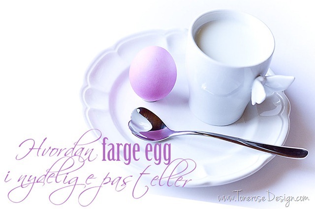 farge-egg-IMG_6206_thumb81