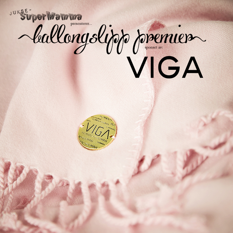 VIGA KL5A0650 copy